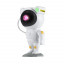 PRJ-LP-XO-CF1-AST-W_1