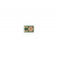 MIC-AIP-2_1