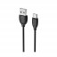 DTC_TPC-BFN-BX19-B