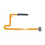 FPC-REAL-10-4G-FP-B