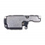 BUZ-REAL-C55-CP