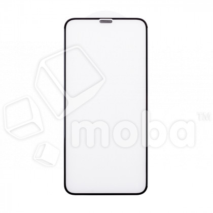 Защитное стекло с сеткой динамика для iPhone X/Xs/11 Pro Черный