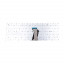 KPD-LP-LNV-G570-B_1