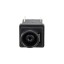 CC-PW-LP-SNY-GNK20P